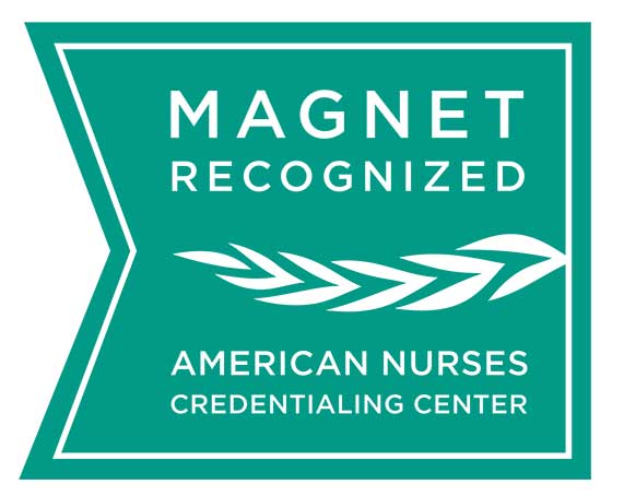 Logo for Magnet Recognition